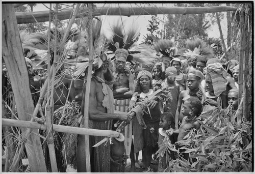 Pig festival, uprooting cordyline ritual: woman touches bespelled stakes, wrapped in banana leaves, to be planted at clan boundary