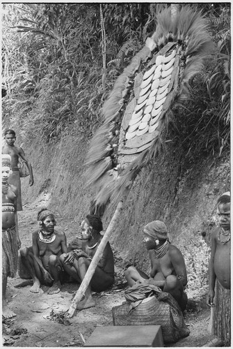 Bride price ritual: banner with feather and shell valuables will be given to the bride's kin