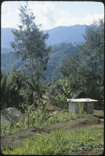 Kwiop area, two houses and small trade store, belonging to Mai