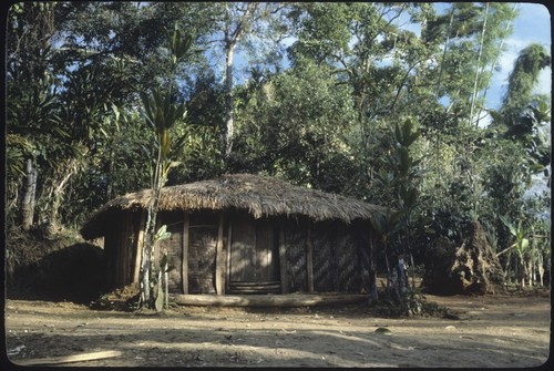 Kwiop house with painted stakes and cordyline plants