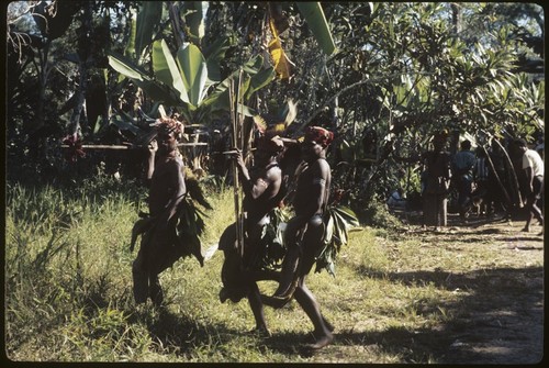 Bride price for Aina: husband's kin approach with spears, bows, and arrows displayed