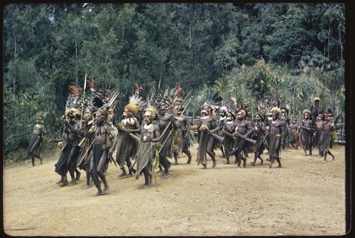 Pig festival, singsing, Kompiai: decorated men carry drums and weapons onto dance ground