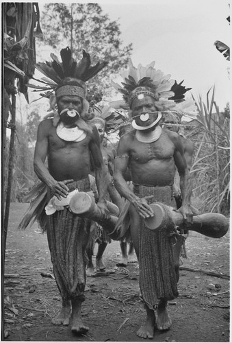 Pig festival, wig ritual: decorated men solemnly beat kundu drums