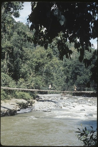 Bridge in Jimi River area