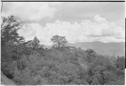 Tabibuga patrol post: distant view of buildings