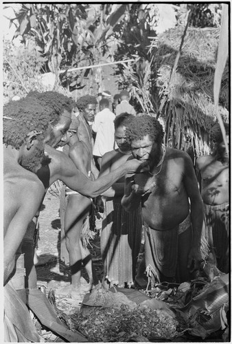 Returned laborers, purification ritual: man eats bespelled pork and yams