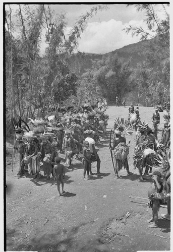 Pig festival, singsing: decorated men with weapons and kundu drums at dance ground