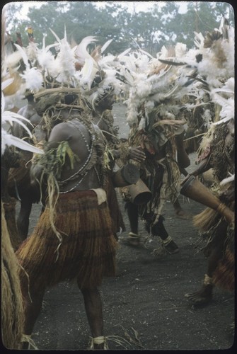 Port Moresby show: dancers with kundu drums and feather headdresses