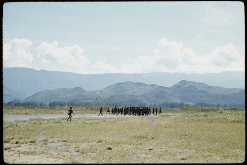 Balim Valley: crowd of Dani people