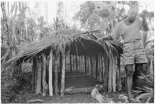 Pig festival, preparations: building a small shelter in ancestral shrine