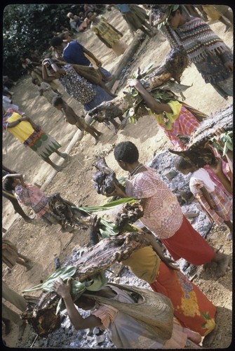 Ritual exchange: women carry sides of pork at food distribution