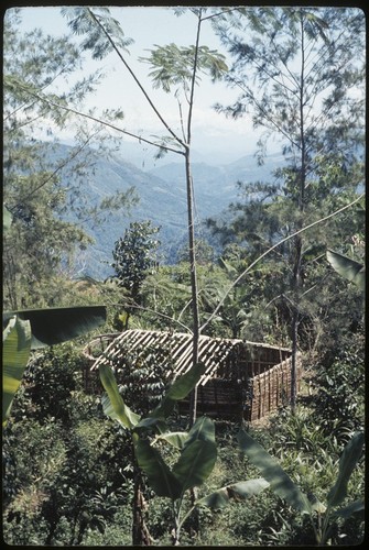 House-building: rafters being added to walls