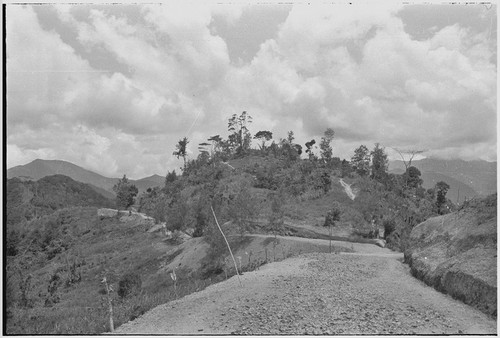 Trail leading to the Cooks' house in Kwiop