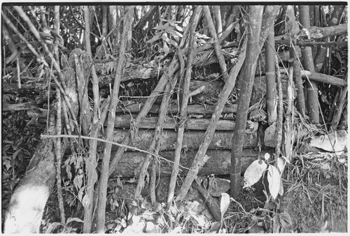 Pig festival, preparations: gate at a boundary, meant to exclude enemy spirits