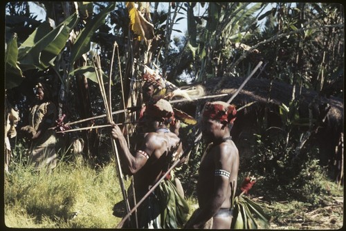 Bride price for Aina: husband's kin approach with spears, bows, and arrows displayed