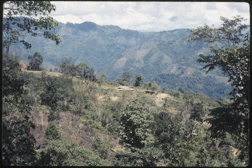 Distant view of houses and gardens