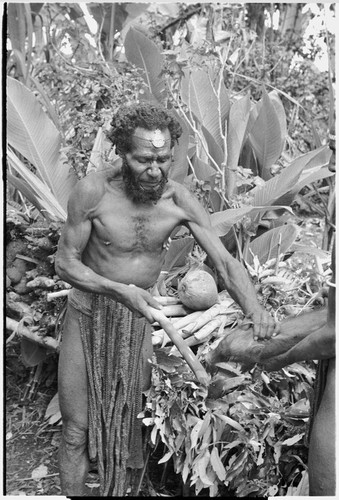 Returned laborers, purification ritual: luluai sacrifices piglet for ancestors, thanking them, other feast foods (background)