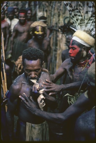 Pig festival, pig sacrifice, Kwiop: decorated men feed salted pork fat to war ally, while smearing him with salt