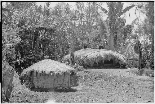 Pig festival, preparations: men's house (r) and small house for sacred stones (l), elevated food storage to store food for upcoming feasts