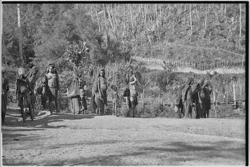 Pig festival, pig sacrifice, Kompiai: women and children await arrival of war allies on dance ground