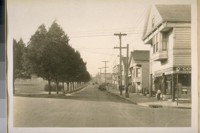 West on Precita Ave. from Alabama St. Dec. 1/28