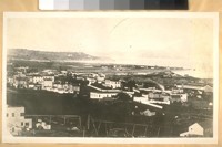 N.W. from Vallejo & Van Ness Ave. in 1868. This shows Harbor View and Cow Hollow - also shows the Old Wharf at the Distillery, Presidio Road now Union St