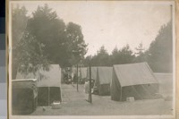 Golden Gate park after the fire of April 18/06