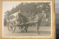 An old time one horse dump cart in Golden Gate Park. April 6/28