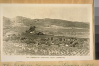 The Giersberg Vineyard near Livermore in 1895