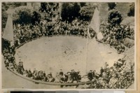 The round boat in Woodward's Gardens about 1877