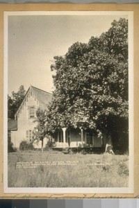 The Old Vallejo home at Sanoma [Sonoma], Calif. The Magnolia tree in this photo was planted by the Gen. July 1928