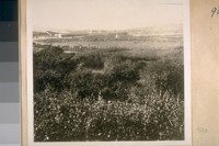The Old Bay District Track near Lake Merced. About 1870