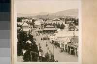 The Midwinter Fair in Golden Gate Park in 1894