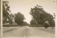 West on the Pan Handle Drive in G.G. [Golden Gate] Park from Masonic Ave. July 31/31