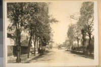 North on Fulton St. from Dwight Way, Berkeley