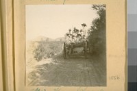 Miss Mary Schrader and party