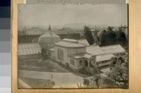 Woodward's Gardens. 1888