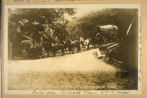 Earley [sic] day, Freight Team of W.B. Meek [Meeker?]. Camptonville, Calif. About 1854