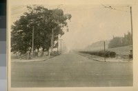 North on Phelan Ave. from Ocean Ave. Oct. 1926