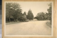 Golden Gate Park, South Drive opposite 24th Ave. looking West. July 1928