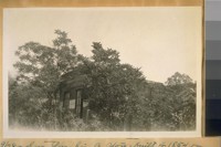 August 9/28. Sun Yun Lin Co. Store built in 1854 on East Main St. Columbia, Tuolumne Co. Calif. This is the only house left standing in the old China Town of Columbia They were dealers in General Merchandise and Gun Powder. At one time there were over 1500 Chinese in this town