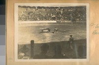 [A Bull fight at Tijuana, Calif.]