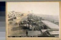 Sea Wall and Espanade [sic] at the Ocean Beach. 1921