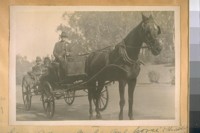 Sam Adams and his one horse Phaston [Phaeton?] - the last one in San Francisco. Photo was taken in Golden Gate Park. April 5/28. Adams was one of the Old time Hackmen