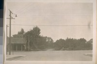 North from 41st Ave. and Lincoln Way into Golden Gate Park. Feb. 1/26