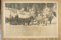The Old Stage line between Sierra City and Sierraville in the winter of 1906 - this photo was taken at Dorsey's station about 13-miles from Sierra City at the top of the Yuba Pass, Sierra Co. Crossing Summit between Sierra City and Sattley, Cal