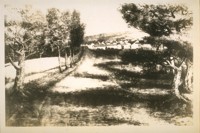 Oakland from an early painting