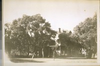 The front view of the home of Jas. De Fremery in the center of De Fremery Park from 16th to 18th Sts. and from Popular to Adeline Sts. Oakland--Photo taken Oct. 5, 1928