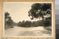 West from Spreckels Lake and the Main Drive in Golden Gate Park. April 1928