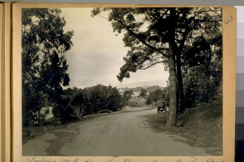 Looking north from the Main drive and the drive on the east side of the chain of lakes that runs in to 43rd Ave. See the Sutro Barn on the hill on Anza St. bet. 47th & 48th Ave. March 3/22